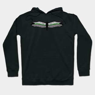 Fly With Pride, Raven Series - Demiromantic Hoodie